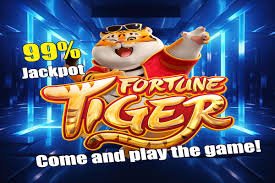 488 app বেটিংয়ের ব্যবহারিক উদাহরণ